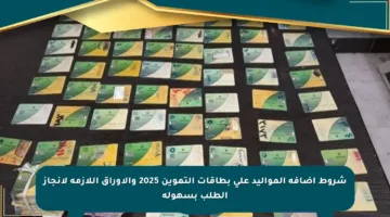 شروط إضافة المواليد على بطاقات التموين 2025 والأوراق اللازمة لإنجاز الطلب بسهولة